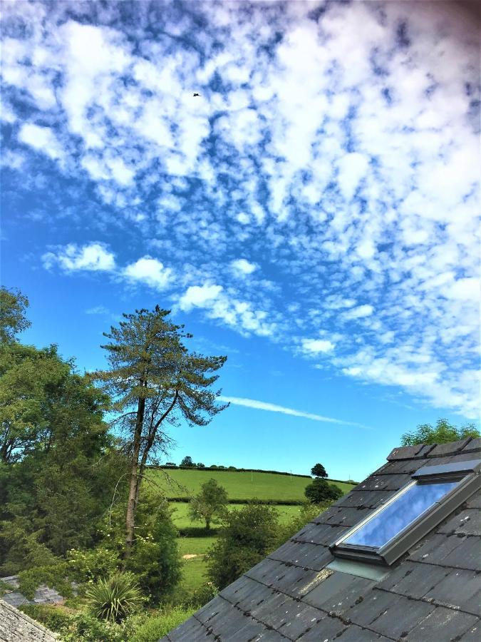 Bed and Breakfast Heddfan à Llanboidy Extérieur photo