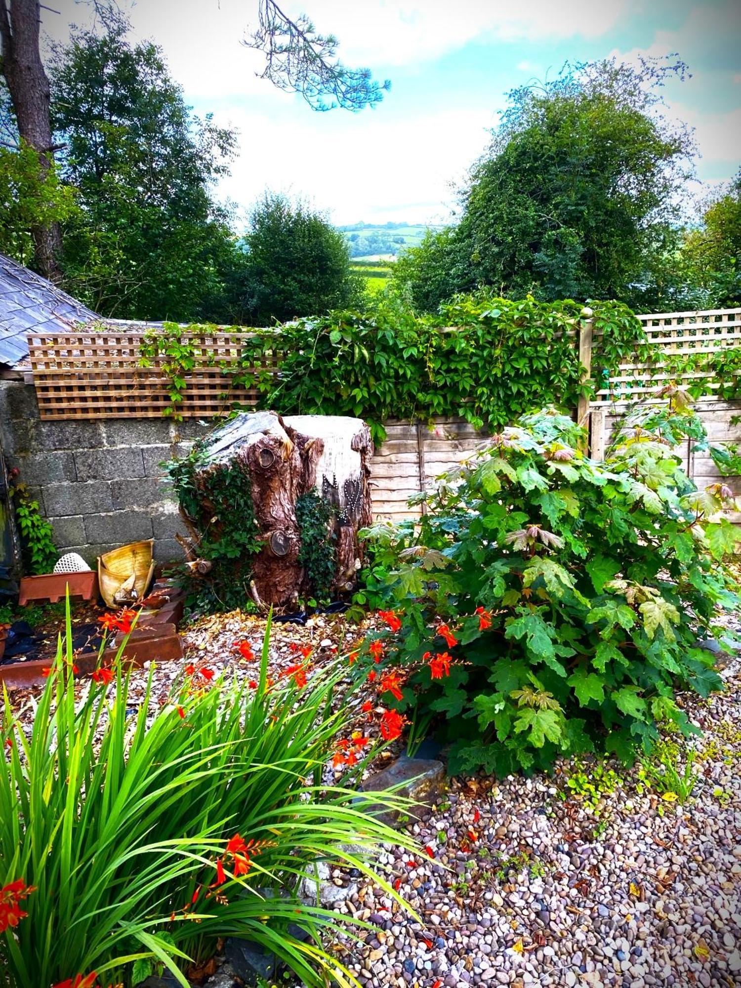 Bed and Breakfast Heddfan à Llanboidy Extérieur photo